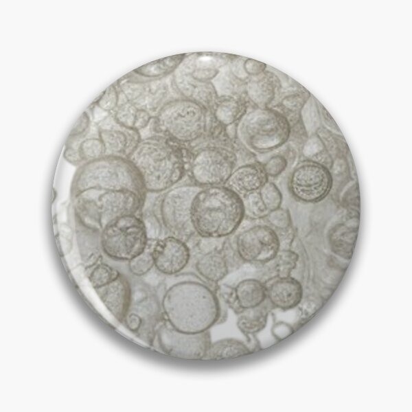 Item preview, Should i eat my soft drink bubbles? designed and sold by Sha1726.