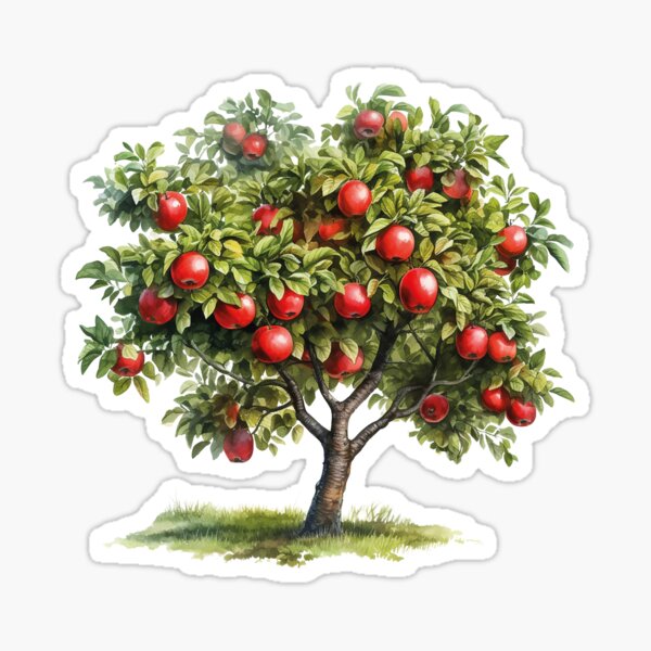 Apple Tree Sticker