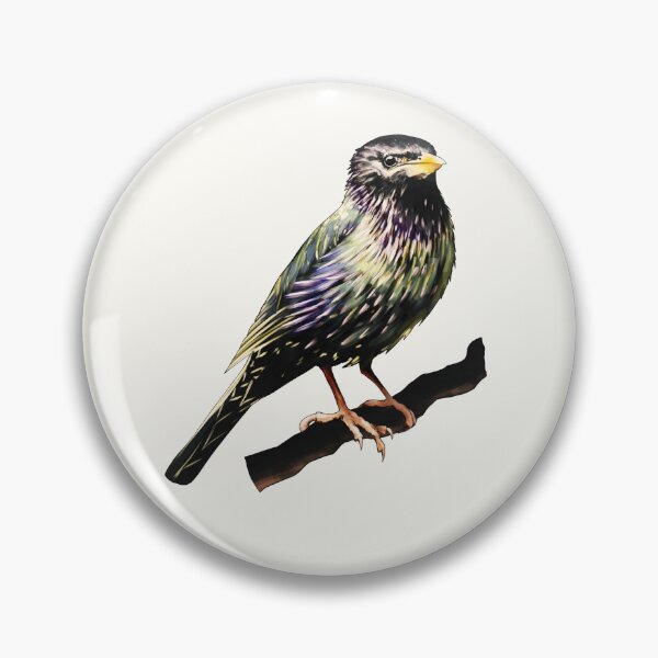 Item preview, Cute little Common Starling designed and sold by Kat-D-Art.