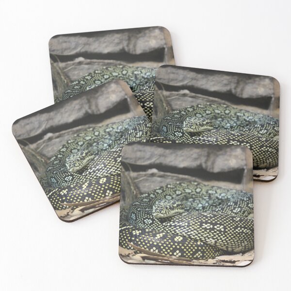 Item preview, Beautiful Carpet Python  designed and sold by wildphotosbyvis.