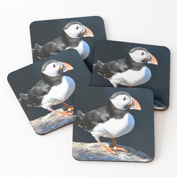 Item preview, Puffin .Aberdeenshire Sea Cliffs designed and sold by Derren Jones.