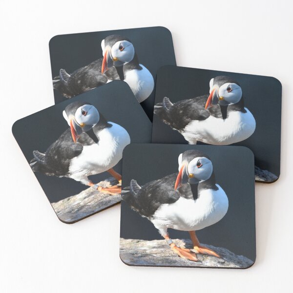 Item preview, Puffins of Aberdeenshire designed and sold by Derren Jones.