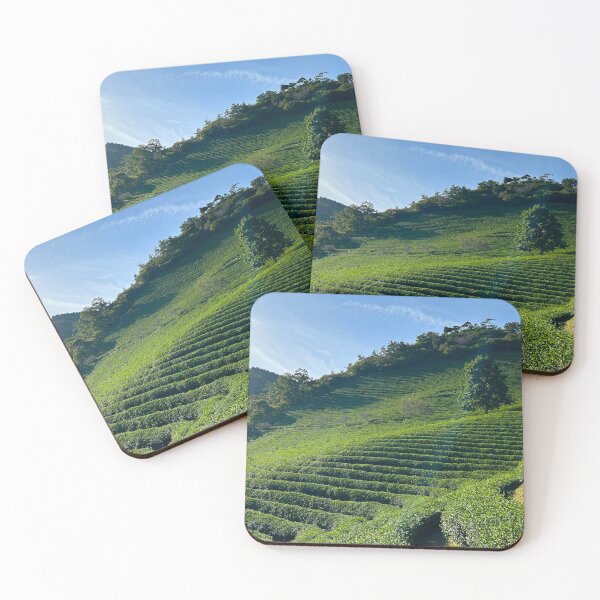 Item preview, Boseong Tea Fields - South Korea Travel Photography designed and sold by YemmyZImages.