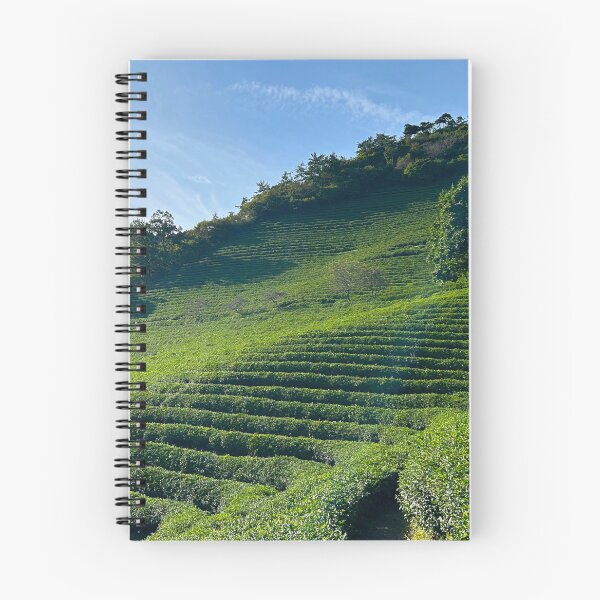 Item preview, Boseong Tea Fields - South Korea Travel Photography designed and sold by YemmyZImages.