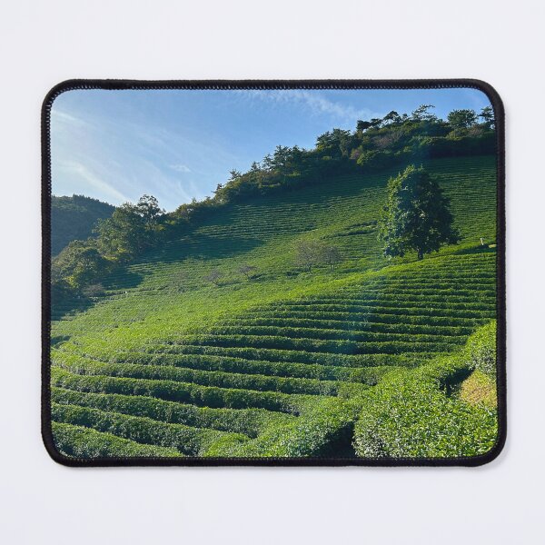 Item preview, Boseong Tea Fields - South Korea Travel Photography designed and sold by YemmyZImages.