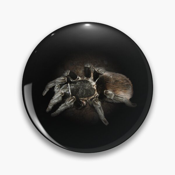 Item preview, Tarantula designed and sold by Guardi71.