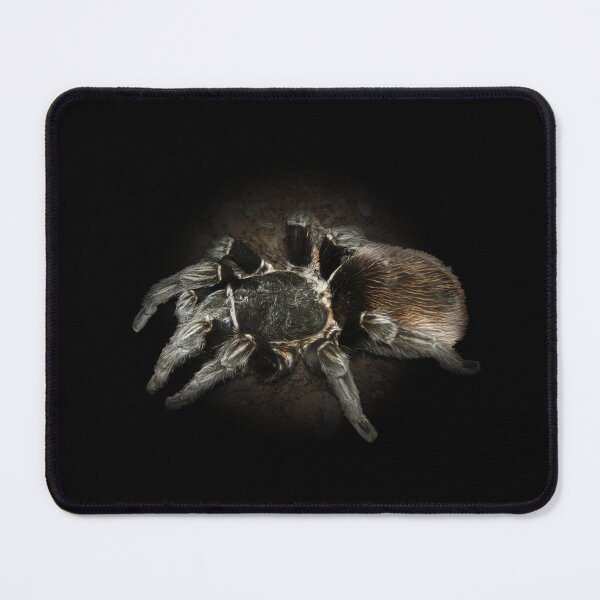 Item preview, Tarantula designed and sold by Guardi71.