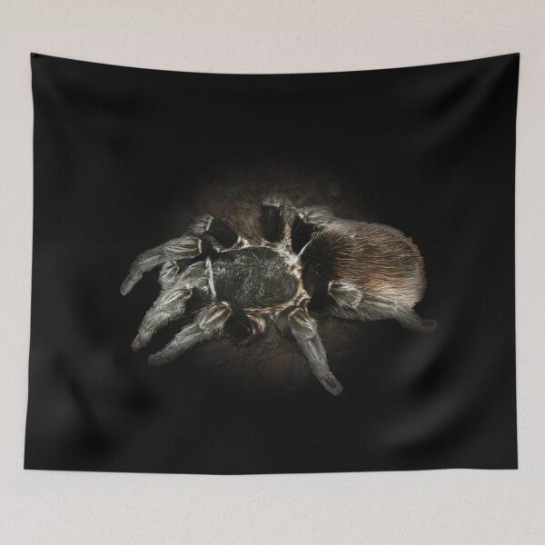 Item preview, Tarantula designed and sold by Guardi71.