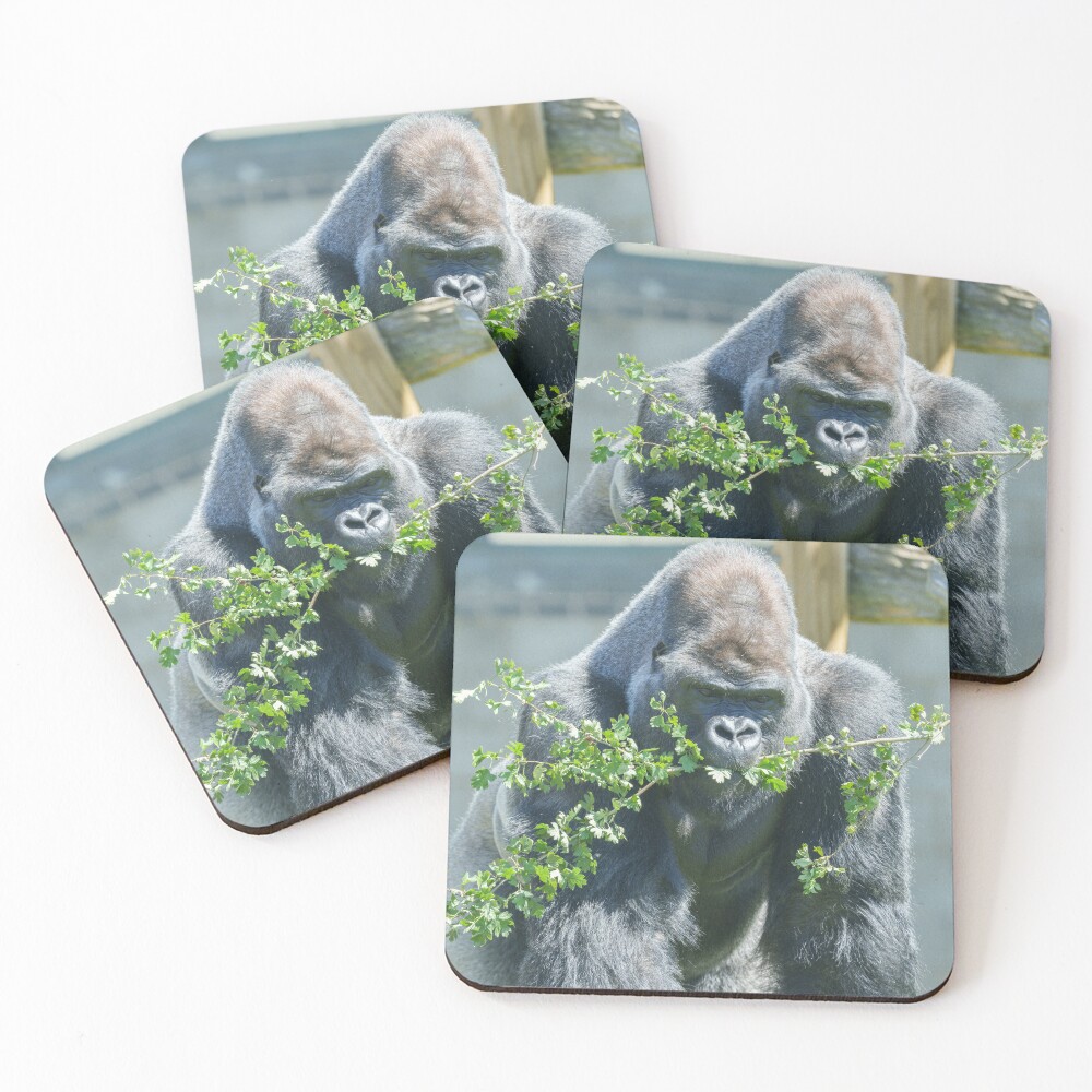 Item preview, Coasters (Set of 4) designed and sold by rawshutterbug.