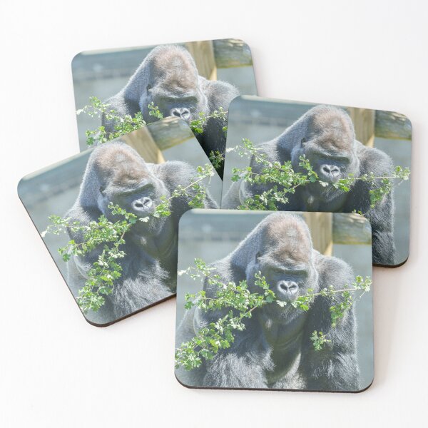 Item preview, Silverback Snack Time designed and sold by rawshutterbug.