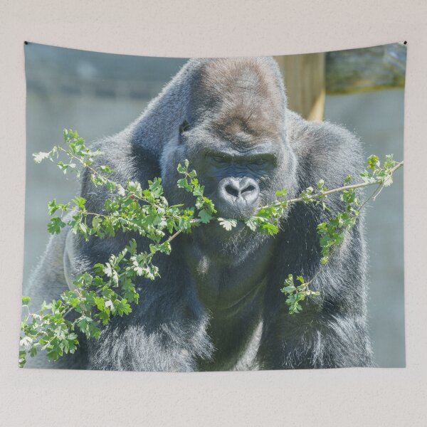 Item preview, Silverback Snack Time designed and sold by rawshutterbug.