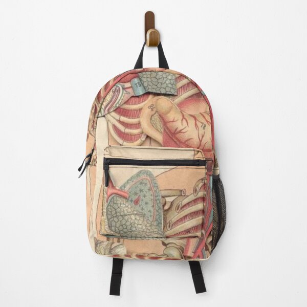 Item preview, Anatomy System Knowledge designed and sold by Weird-arts.