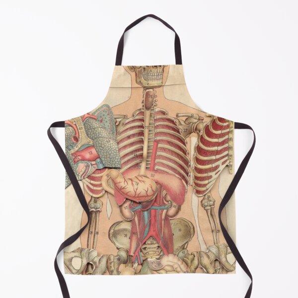 Item preview, Anatomy System Knowledge designed and sold by Weird-arts.