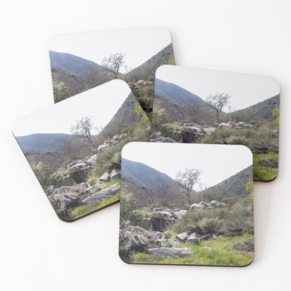 Item preview, Mission Trails Natural Beauty designed and sold by heatherfriedman.