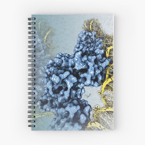 Item preview, PvrA-DNA complex designed and sold by Francisco J. Enguita.
