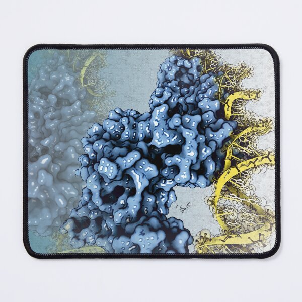 Item preview, PvrA-DNA complex designed and sold by Francisco J. Enguita.