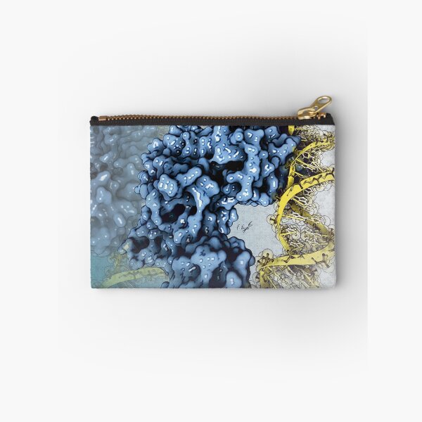 Item preview, PvrA-DNA complex designed and sold by Francisco J. Enguita.