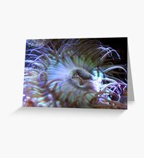 Sea Anemone Greeting Card