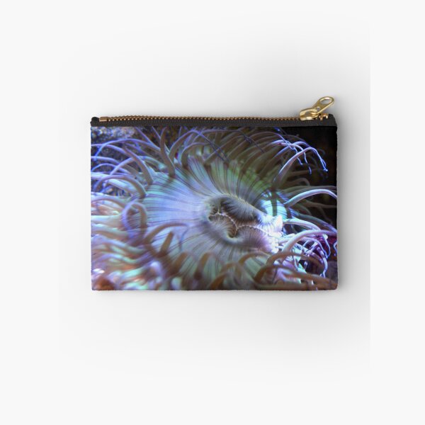 Item preview, Sea Anemone designed and sold by Jennifer  Sweeney.