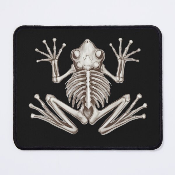 Item preview, frog skeleton  designed and sold by rtlabdo.