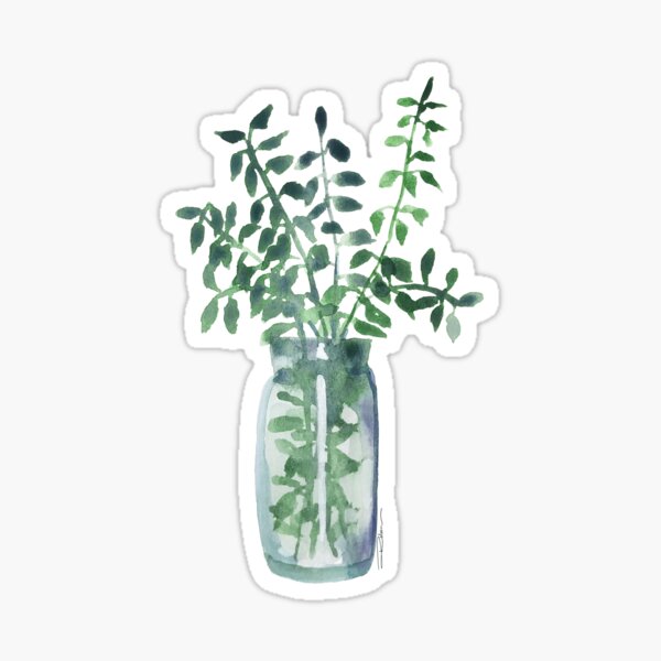 Fresh Eucalyptus Cuttings Sticker