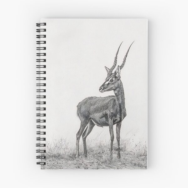 Item preview, Black and white antelope pencil drawing designed and sold by Pencil-Art.