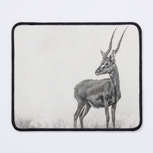 Item preview, Black and white antelope pencil drawing designed and sold by Pencil-Art.