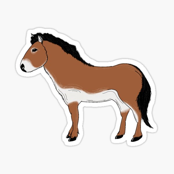 Aperçu de l'œuvre Le cheval de Przewalski créée et vendue par Charlotte Eleanor.
