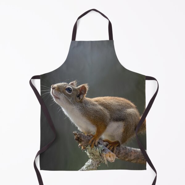 Item preview, Squirrel designed and sold by KNBS.