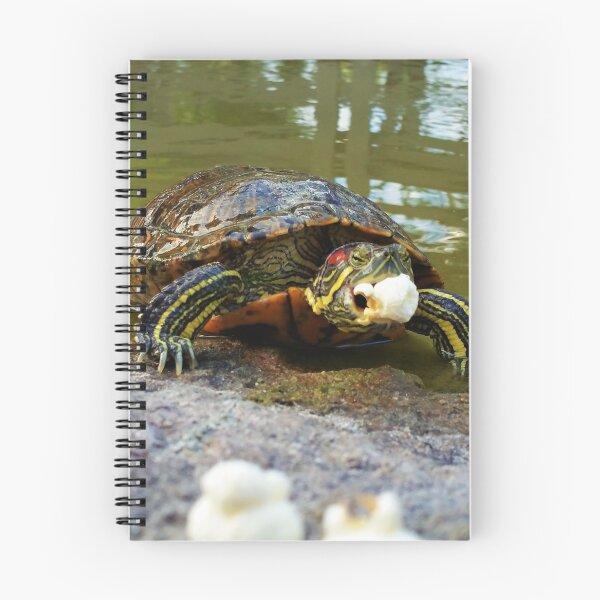 Item preview, I like Turtles 2 designed and sold by heartbreakerjmc.