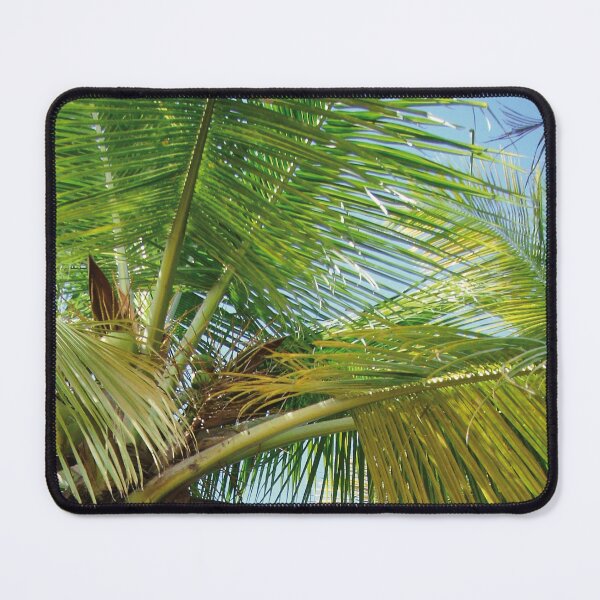 Item preview, Coconut tree designed and sold by LuNaRcEe.