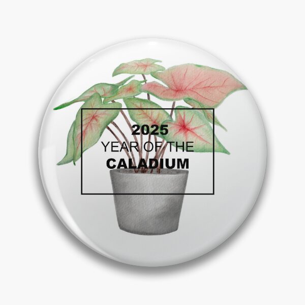 Item preview, 2025 is the Year of the Caladium designed and sold by NationalGarden.