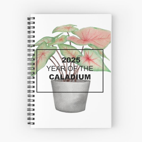 Item preview, 2025 is the Year of the Caladium designed and sold by NationalGarden.