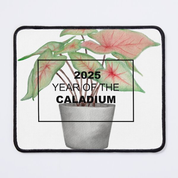 Item preview, 2025 is the Year of the Caladium designed and sold by NationalGarden.