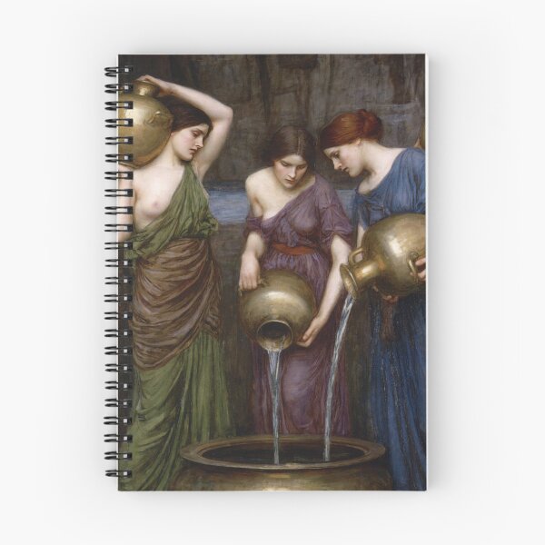Item preview, Danaides by John William Waterhouse designed and sold by TeeARTHY.
