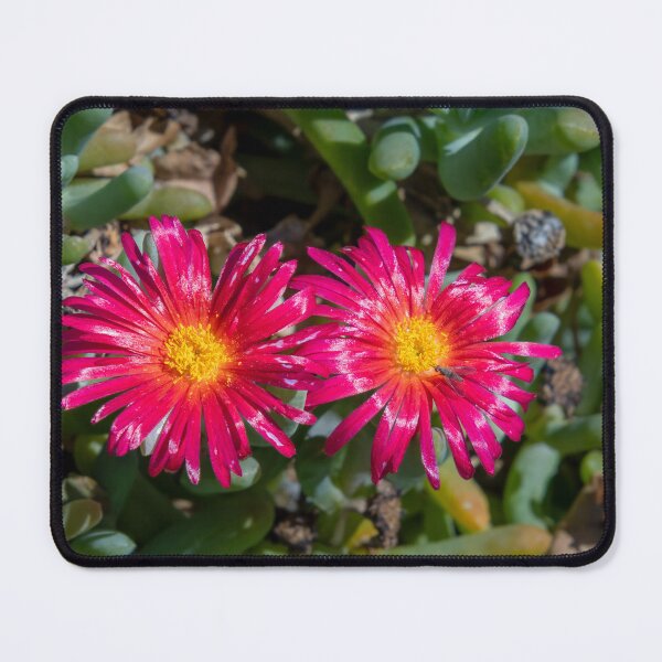 Item preview, Picture Perfect Red Flowers designed and sold by SafariByMarisa.