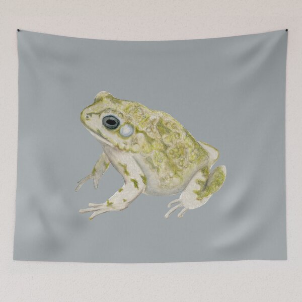 Item preview, Common African Toad designed and sold by Platinumfrog.