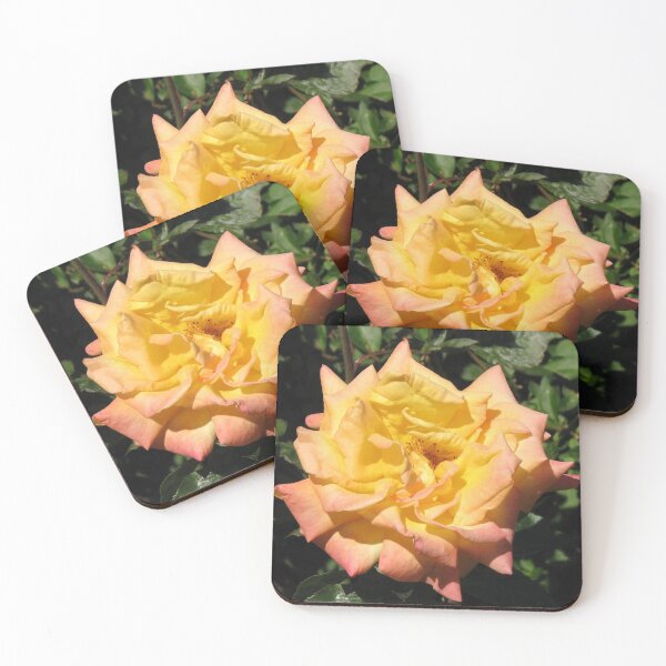 Item preview, Joyous Rose designed and sold by BlueMoonRose.