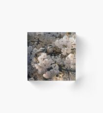 Chickadees "Wrapped in White" Acrylic Block