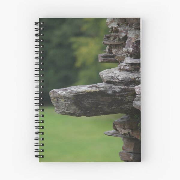 Item preview, The Protruding Bit - Restormel Castle designed and sold by lezvee.