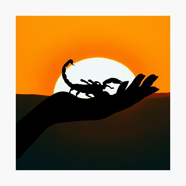 Item preview, Scorpio at Sunset designed and sold by mcrodosn.