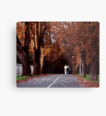 walk the line Metal Print