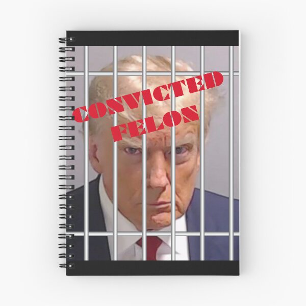 Item preview, Convicted Felon Donald Trump behind Bars designed and sold by PrairieRidgeDesigns.