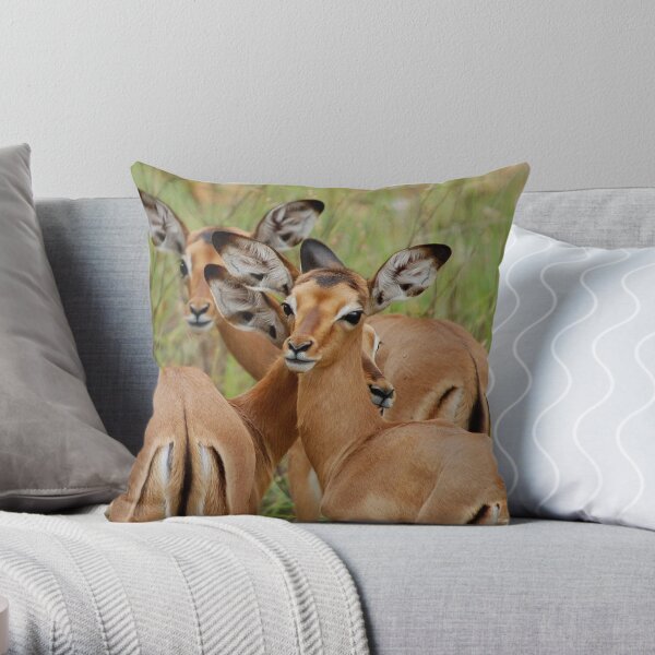 ARE WE SAFE HERE - BABY IMPALA – Aepyceros melampus melampus - *ROOIBOK* Throw Pillow