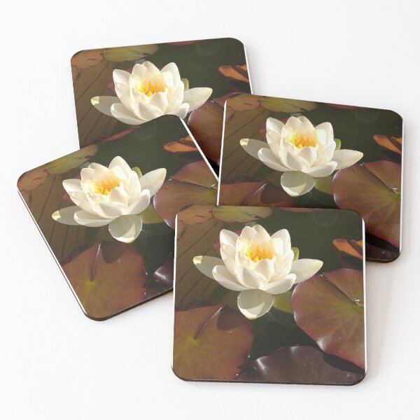 Item preview, Single white waterlily photograph  designed and sold by esvb.
