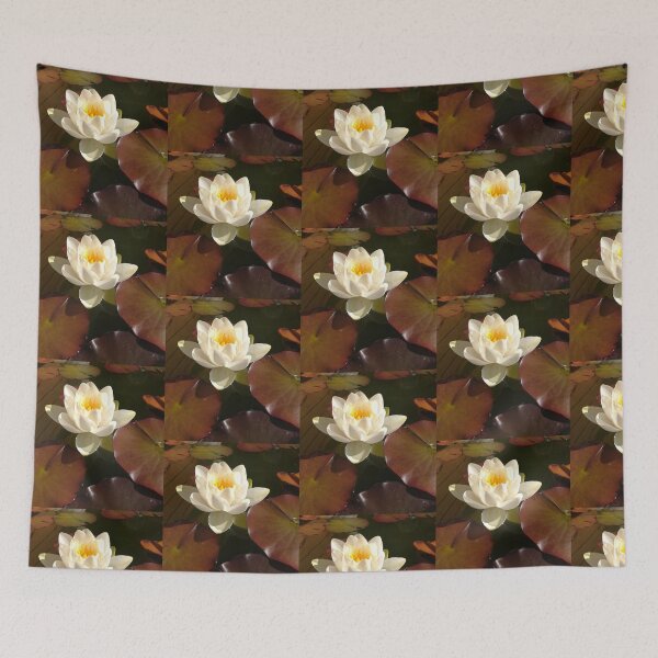 Item preview, Single white waterlily photograph  designed and sold by esvb.
