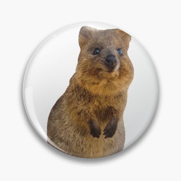 Item preview, Cute standing quokka  designed and sold by SillyLittleSnek.