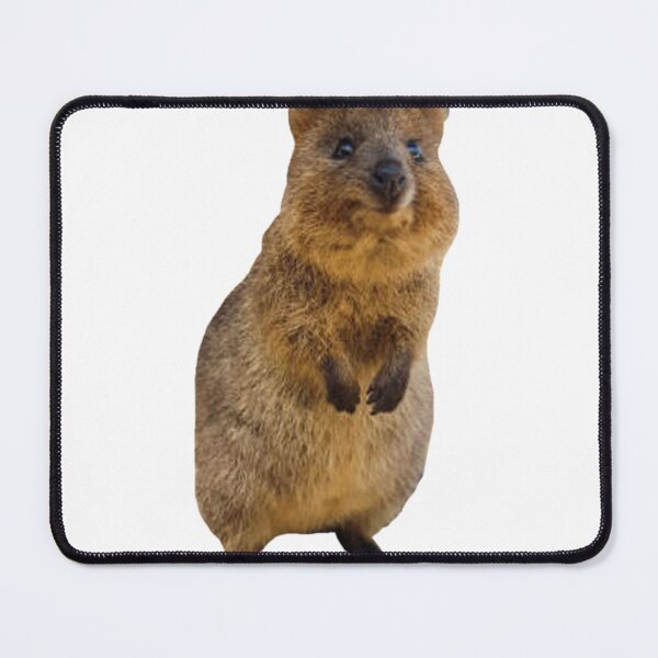 Item preview, Cute standing quokka  designed and sold by SillyLittleSnek.