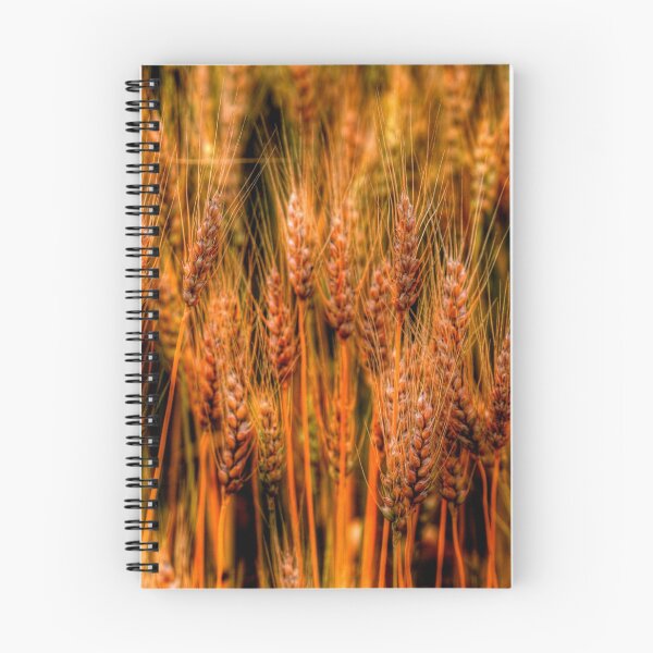 Item preview, Golden Canadian Wheat designed and sold by Larry Trupp.