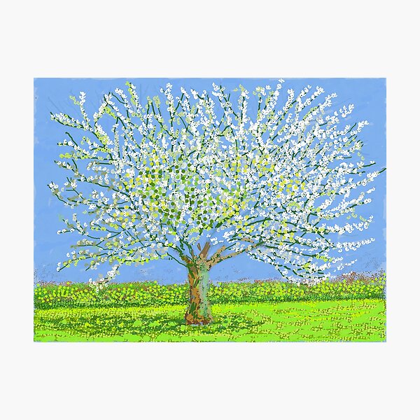 Item preview, David Hockney Art - Beautiful tree designed and sold by DorisFinkbeiner.